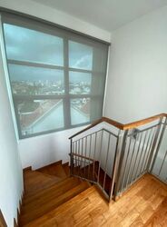 Palm Oasis (D15), Apartment #541668221